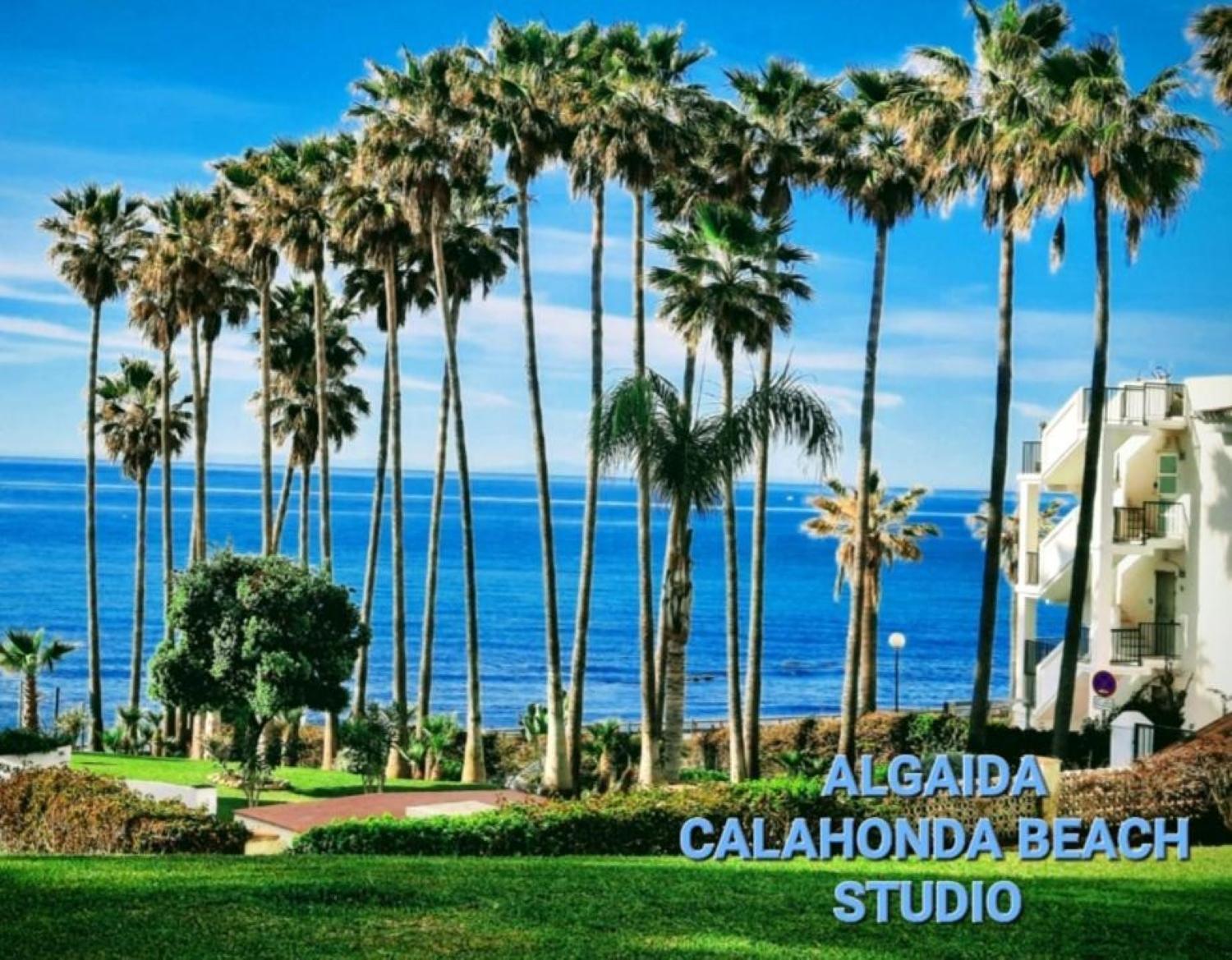 Nuevo! Algaida Calahonda Beach Studio Sitio de Calahonda Ngoại thất bức ảnh